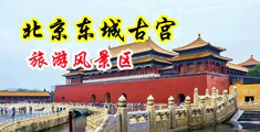 日韩肉丝无码足交摩擦咪咪爱av中国北京-东城古宫旅游风景区